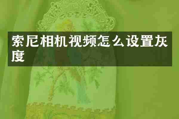 相机视频怎么设置灰度