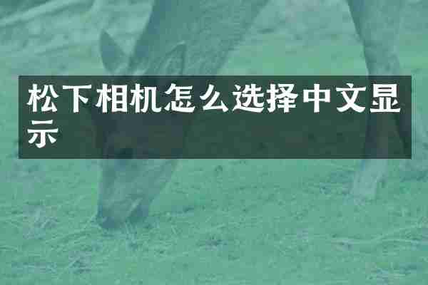 松下相机怎么选择中文显示