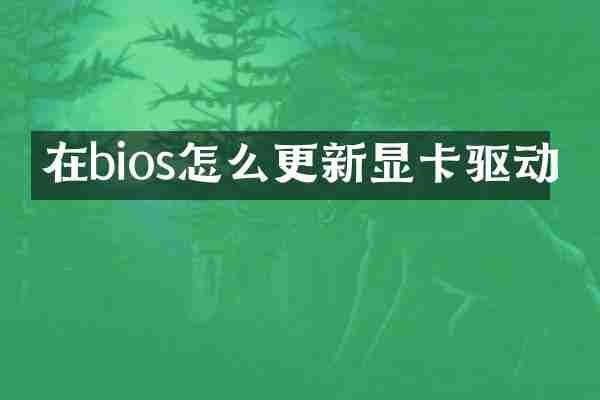 在bios怎么更新显卡驱动