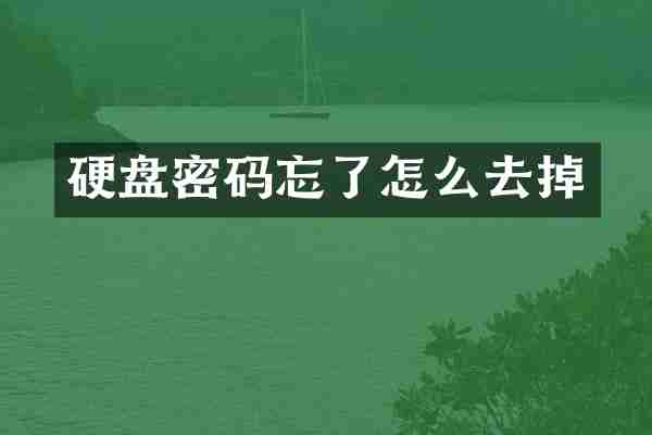 硬盘密码忘了怎么去掉