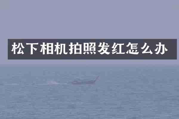 松下相机拍照发红怎么办