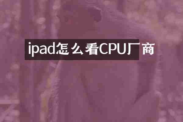 ipad怎么看CPU厂商