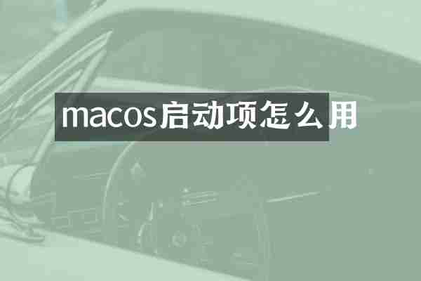 macos启动项怎么用