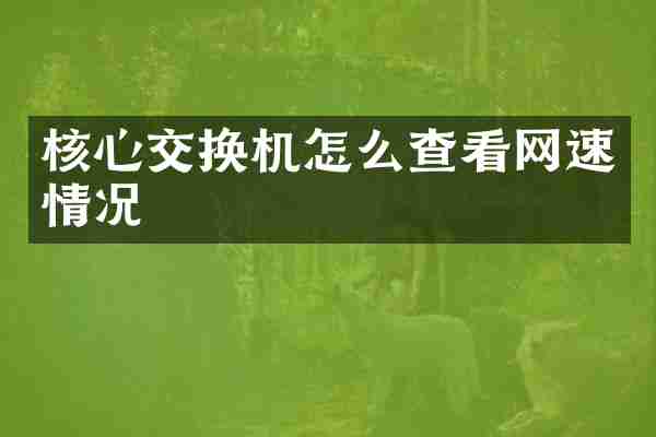 核心交换机怎么查看网速情况