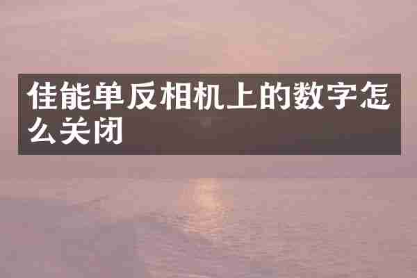 佳能单反相机上的数字怎么关闭