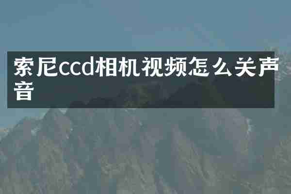 ccd相机视频怎么关声音