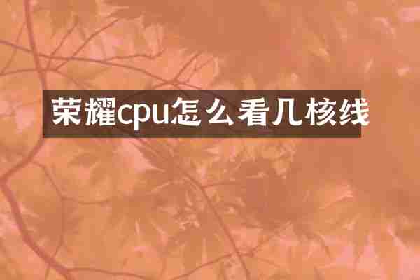 荣耀cpu怎么看几核线