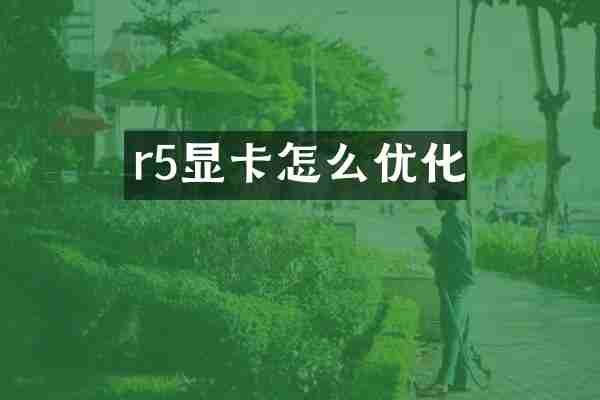 r5显卡怎么优化