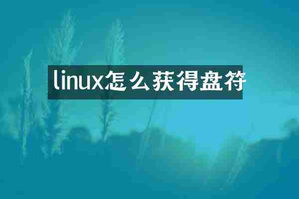 linux怎么获得盘符