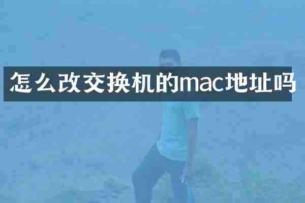 怎么改交换机的mac地址吗