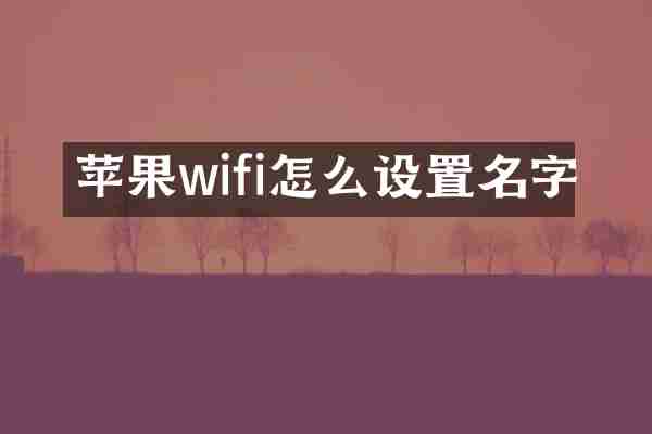 苹果wifi怎么设置名字