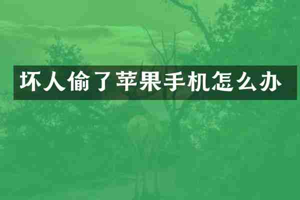 坏人偷了苹果手机怎么办