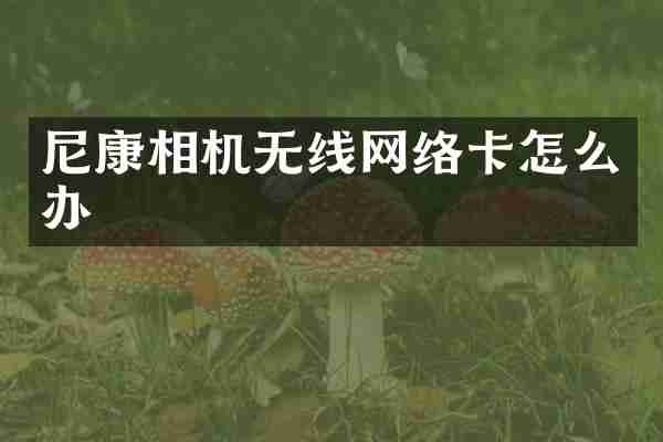 尼康相机无线网络卡怎么办