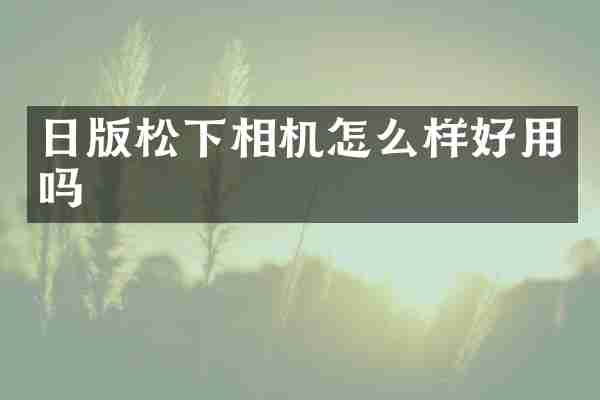 日版松下相机怎么样好用吗
