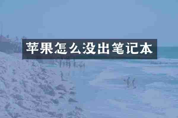 苹果怎么没出笔记本
