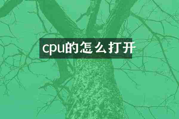 cpu的怎么打开