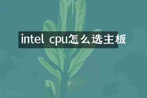 intel cpu怎么选主板