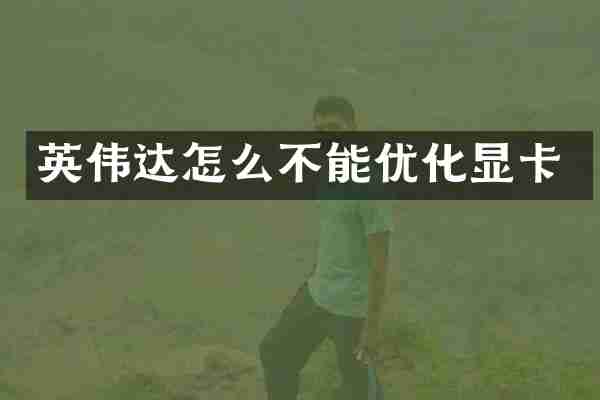 英伟达怎么不能优化显卡
