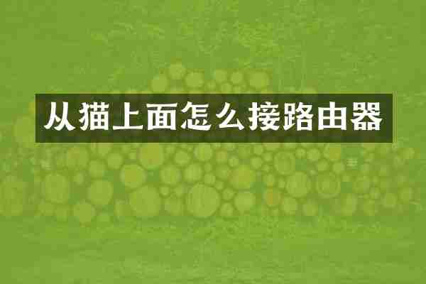 从猫上面怎么接路由器