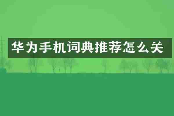 华为手机词典推荐怎么关