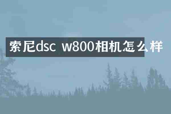 dsc w800相机怎么样