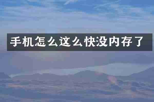 手机怎么这么快没内存了