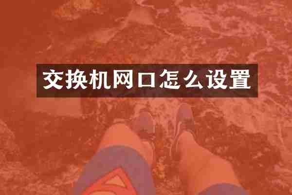交换机网口怎么设置
