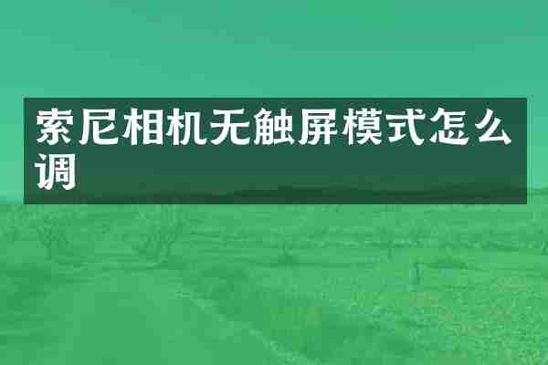 相机无触屏模式怎么调