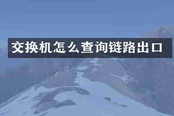 交换机怎么查询链路出口