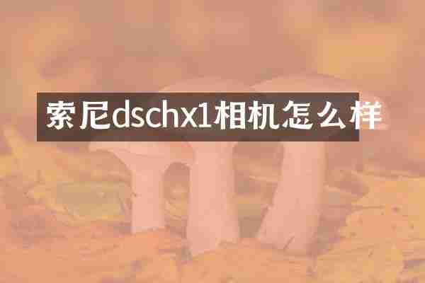 dschx1相机怎么样