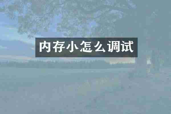 内存小怎么调试
