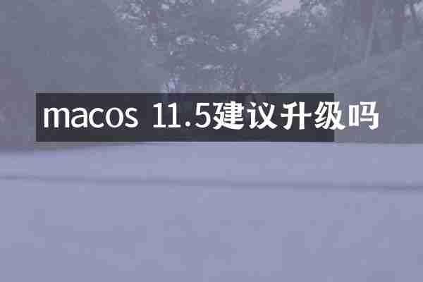 macos 11.5建议升级吗