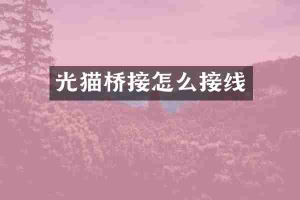 光猫桥接怎么接线