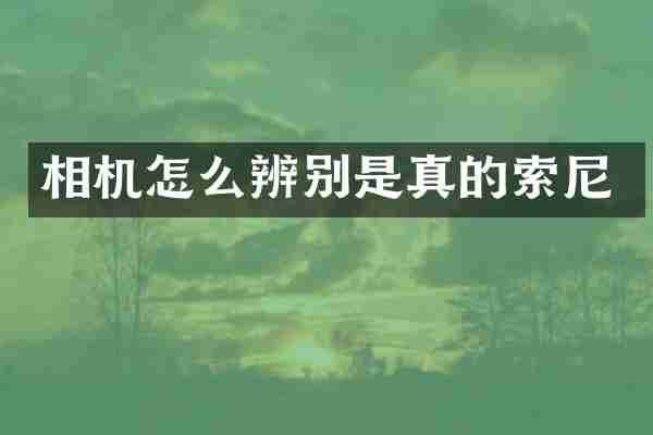 相机怎么辨别是真的索尼