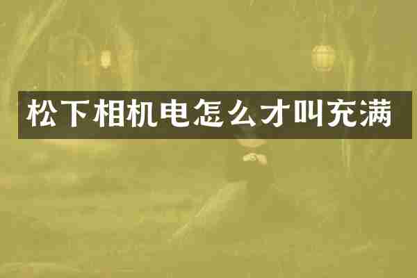 相机电怎么才叫充满