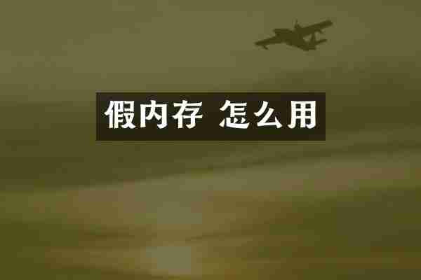 假内存 怎么用