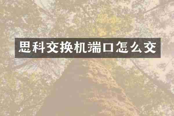 思科交换机端口怎么交