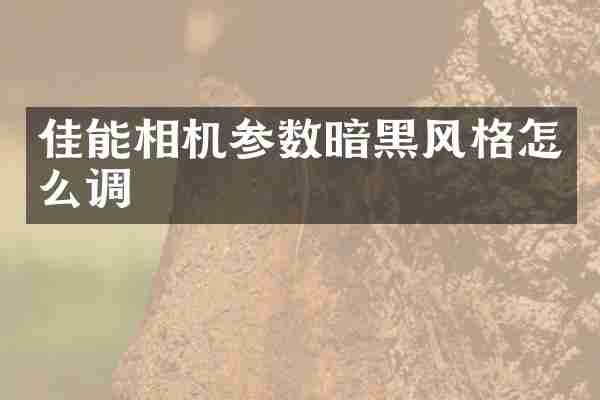 佳能相机参数暗黑风格怎么调