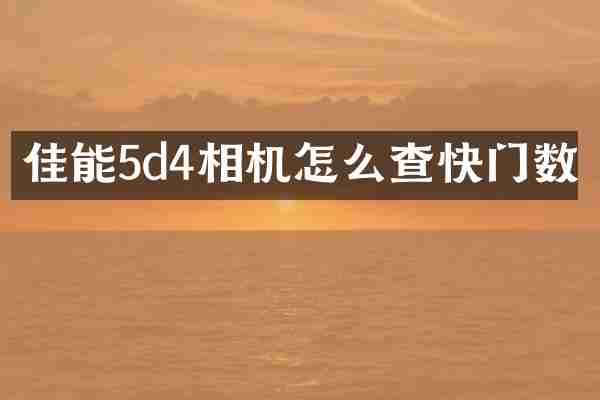 佳能5d4相机怎么查快门数