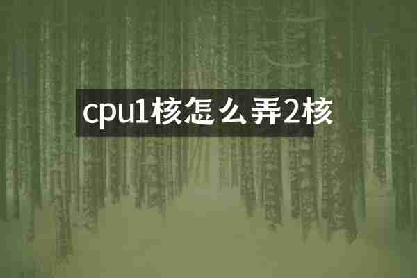 cpu1核怎么弄2核
