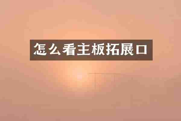 怎么看主板拓展口