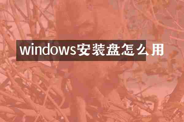 windows安装盘怎么用