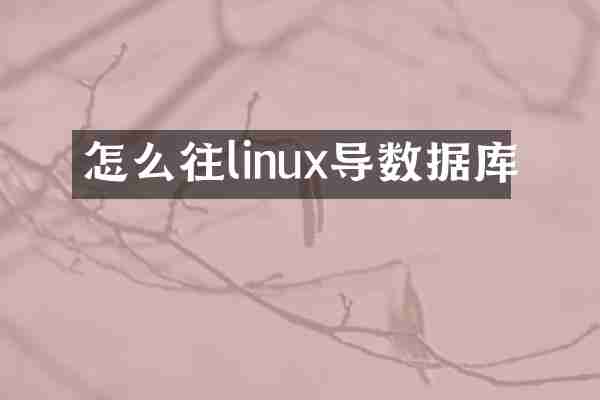 怎么往linux导数据库