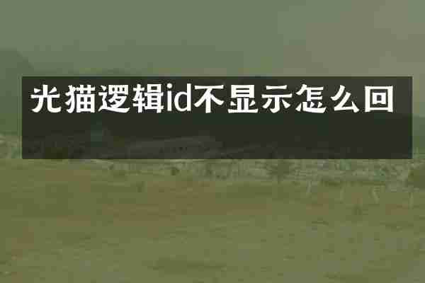 光猫逻辑id不显示怎么回事