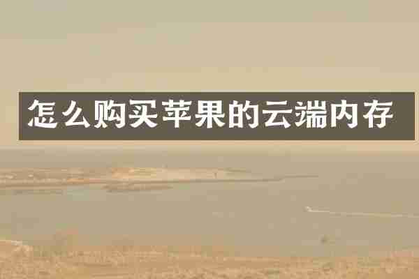 怎么购买苹果的云端内存