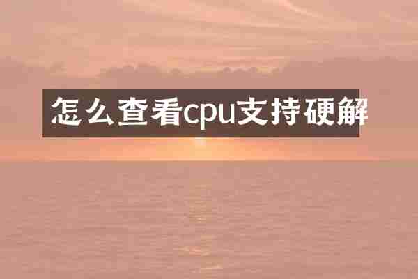 怎么查看cpu支持硬解