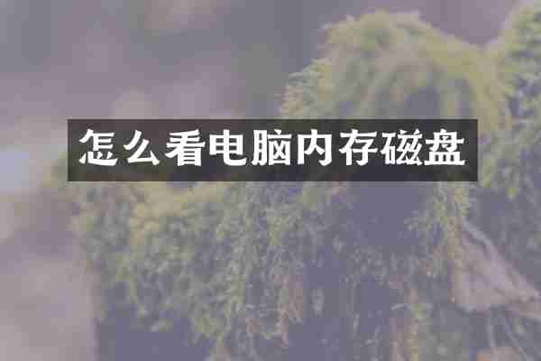 怎么看电脑内存磁盘