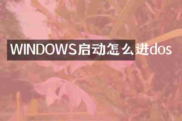 WINDOWS启动怎么进dos