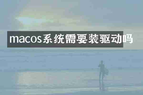 macos系统需要装驱动吗