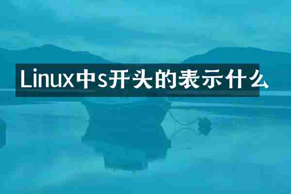 Linux中s开头的表示什么